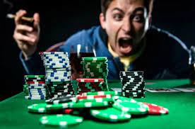 Вход на официальный сайт Casino Wilder